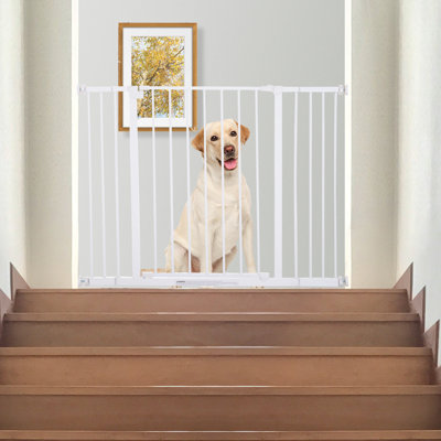 Mini dog gate best sale